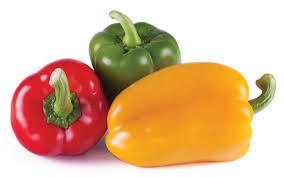 Bell Pepper - క్యాప్సికమ్