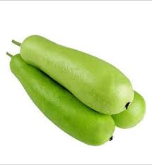 Bottle Gourd - సొరకాయ