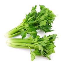 Celery - సెలరీ