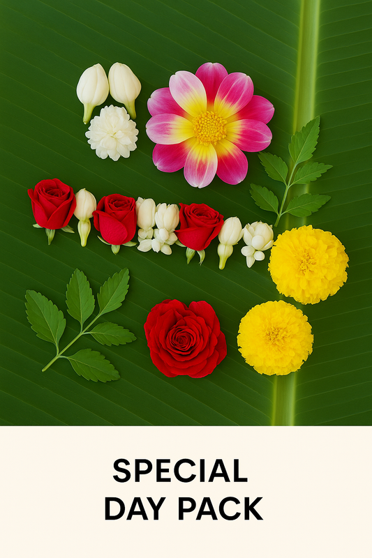 Special Day Packs