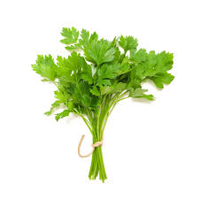 Coriander Leaves - కొత్తిమీర ఆకులు