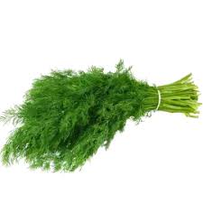 Dill Leaves - సోయా ఆకులు