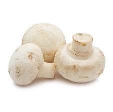 Mushroom - పుట్టగొడుగులు