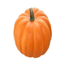 Pumpkin - గుమ్మడికాయ