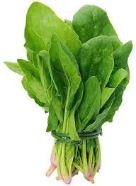 Spinach - పాలకూర